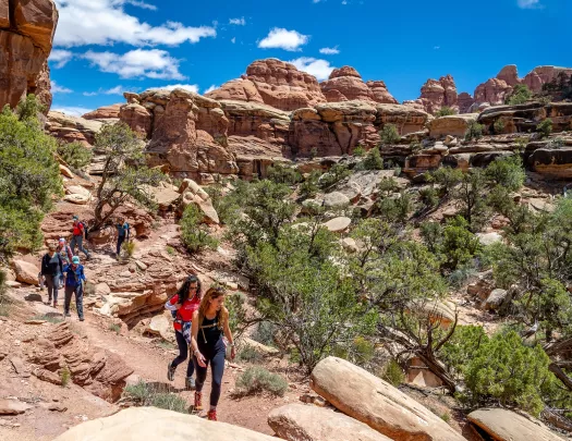 Group of people walking down a gravel trail on a canyon, with trees in the center