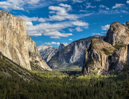 Forest surrounded by tall mountains
