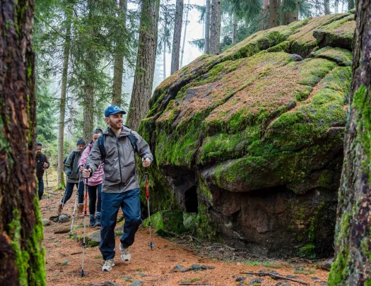 Group of people hiking through a forest with tall trees and large boulder