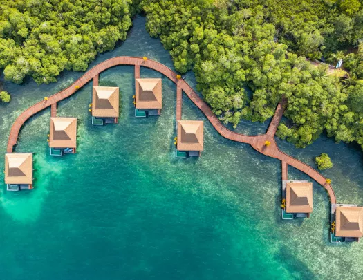Sky view of hotel cottages by the ocean and the jungle in the background