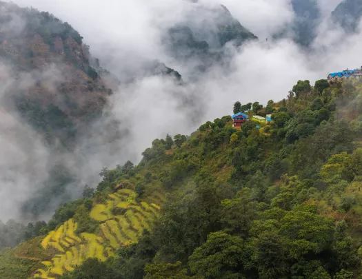 Hills with thick forest and houses on top, with fog in the background