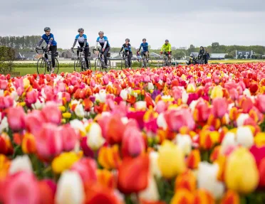 Bikers on Backroads Trip