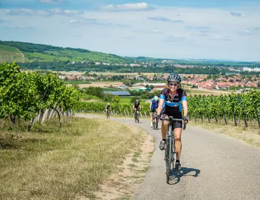 Backroads Guest Biking in Alsace with Mountain and Town View