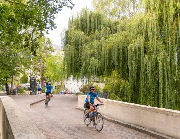 Backroads Guests Biking 