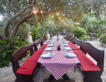 Shot of dinner table among low-hanging trees.