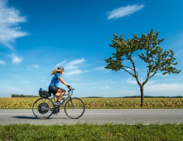 Biker riding on a clear sunny day with a field and a tree in background.