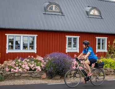 E-Biking by Red Building