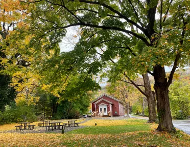 Small red café surrounded by green and yellow trees.