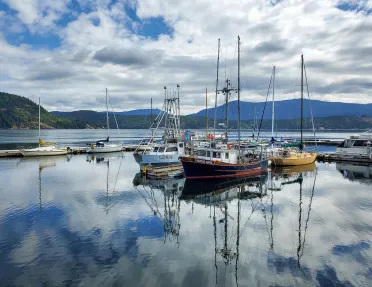 Wide shot of sailboats on the water.