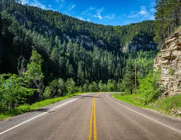 A scenic route with trees and mountains in the background 