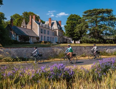 Three guests cycling past French estate, lavender bushes all around.