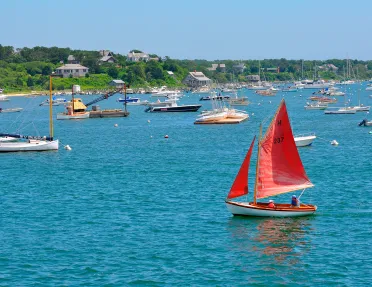 Wide shot of a bay full of sailboats.