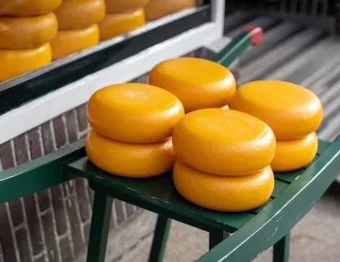 Cheese wheels