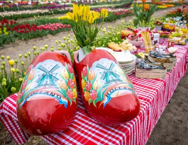 Shot of lunch spread, large clogs, flower beds in background.