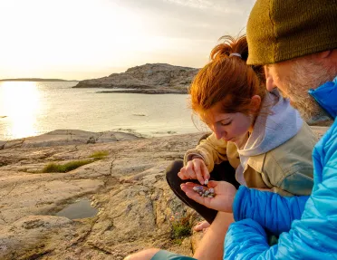 Father and daughter looking at seashells on a beach