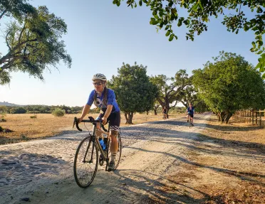 Guests cycling down sandy road past golden meadow, trees.