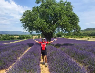 Backroads Guest in Lavender Field