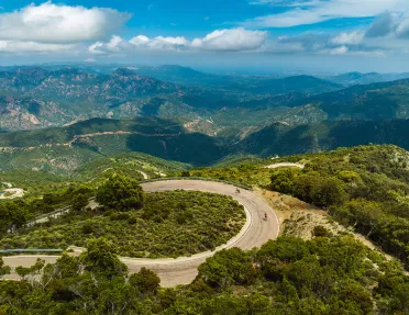 Two guests cycling down road on tree-filled vista.