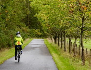 Cyclist riding e-bike down road.