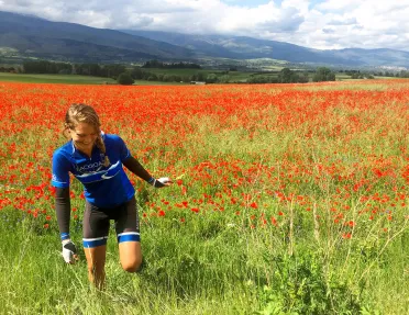 Young guest walking through red-flower meadow.