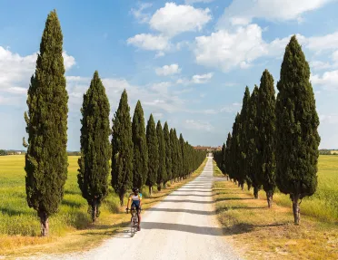 Guest cycling down lone, tree-lined road.