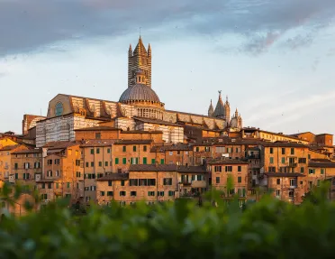 Wide shot of the Duomo di Siena.