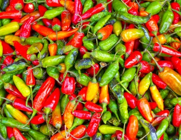 Red, yellow and green chili peppers