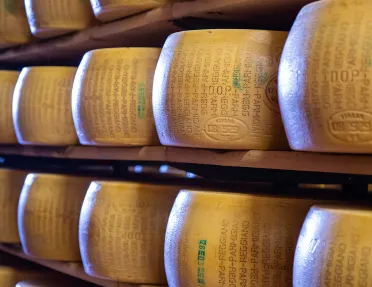 Shelves filled with wheels of Parmigiano Regiano