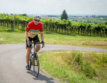 Cyclist riding around a corner with a vineyard in the background