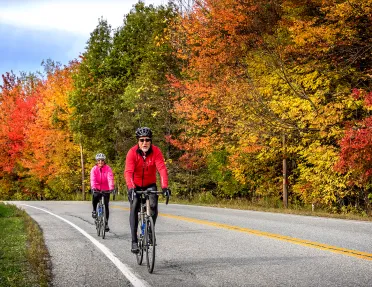 Two guests cycling down road, fall-colored trees to their left.