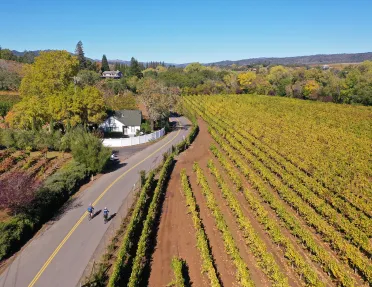 Two guests cycling down vineyard road.