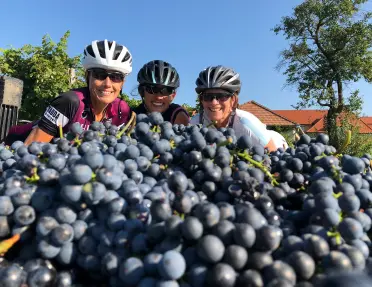 Three bikers posing behind a huge pile of grapes