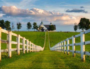 Wide shot of the Kentucky House Farm.