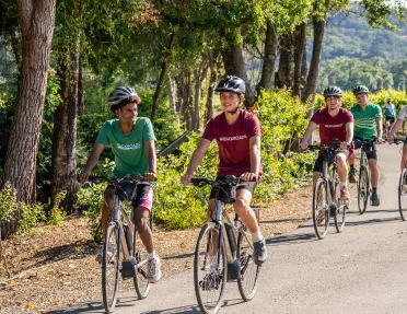 Five young guests biking down forest road, grapevines.