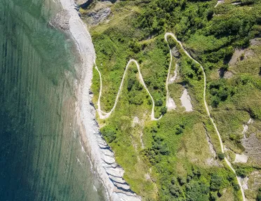 Overhead shot of winding beach trail, ocean, forest.