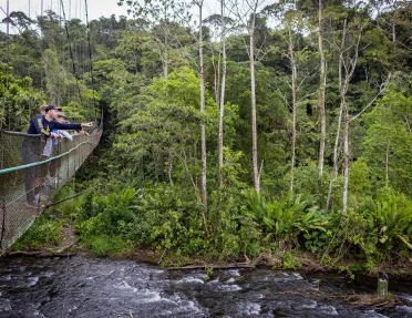 Everyone Looking Down River From Suspension Bridge
