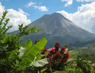 Tree view Arenal Volcano 