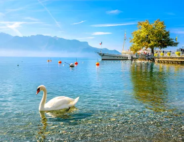 Sunny Lake Geneva, pier in background.