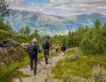 Hiking Down Stone Path