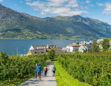 Walking Path Fjord Norway