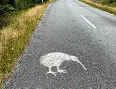 Shape of a kiwi bird spray painted on a road in New Zealand