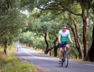 Biker riding along a tree lined road
