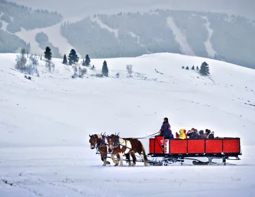Backroads guests being transported across snowy landscape by horses