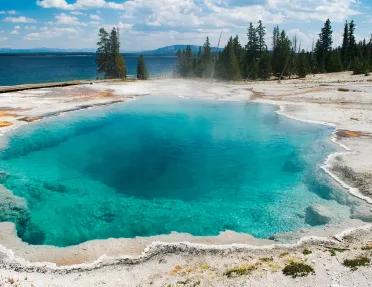 Turquoise hot spring and surrounding pine trees