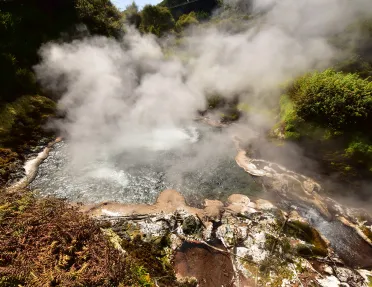 Steaming geothermal activity in Te Manaroa, New Zealand