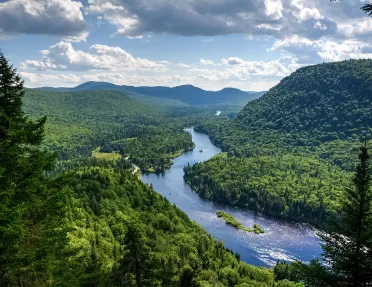 Bird's eye shot of large forest, river below.
