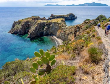 Guest walking past cacti, ocean cliffs, blue water.