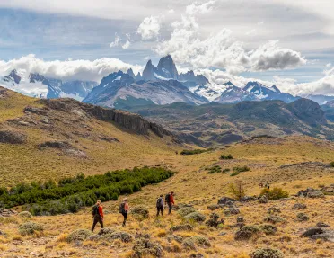 Four guests trekking over grassy, rocky meadow, large snowy mountains in background.