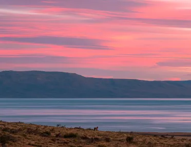 Wide shot of sunset vista, mountain, river, meadow, small horse all visible.