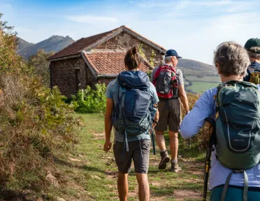 Four Backroads Guests Walking